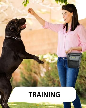 dog treat pouch