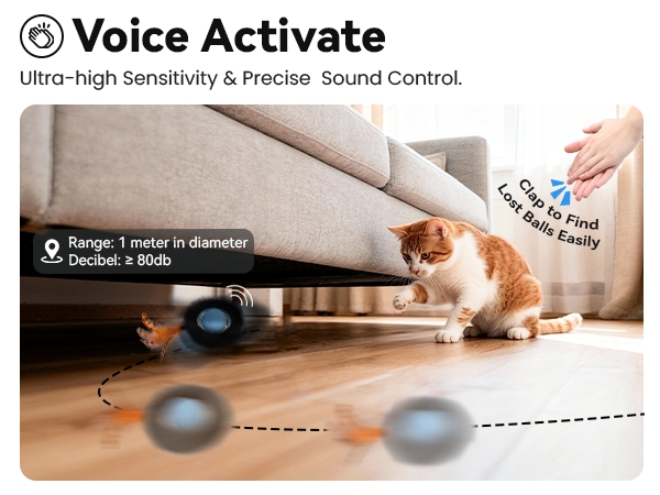 cat toys
