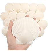 Mkobon 20 PCS 4-5 Inch Large Scallop Shells for Crafting, Natural Large Seashells for Crafts, Whi...