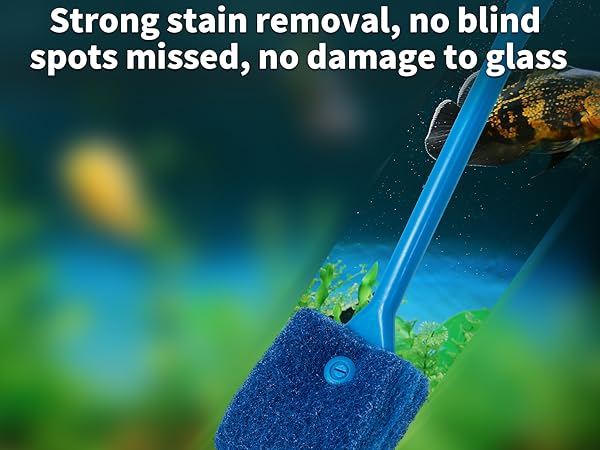 fish tank brush
