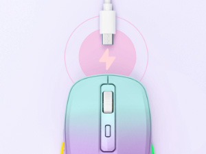 rechargeable computer mouse