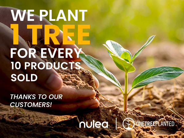 plant tree