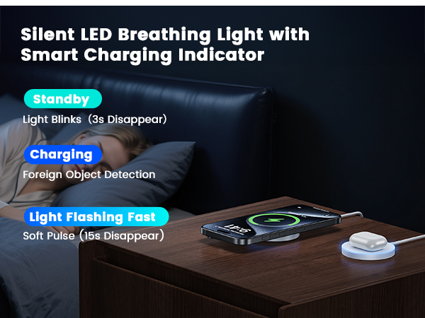LED Smart Charger