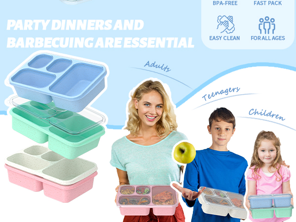 lunch box containers