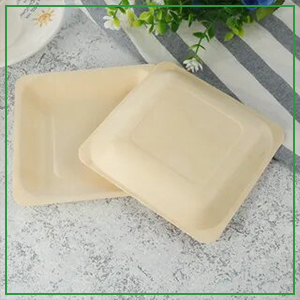 Wooden Disposable Plates