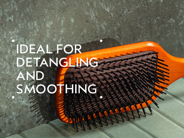 Paddle Brush