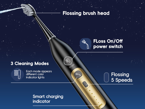 electric toothbrush with water flosser