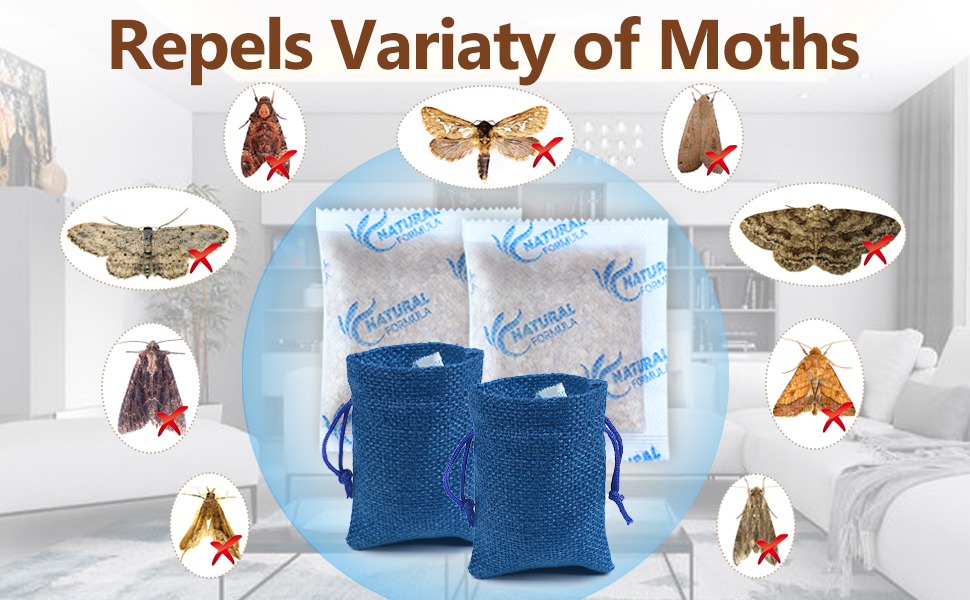 clothes moth repellent moth traps