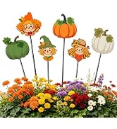 Tarklanda 6 Pcs Fall Metal Garden Stakes 12" Fall Outdoor Decor for Home | Pumpkin Scarecrow Meta...