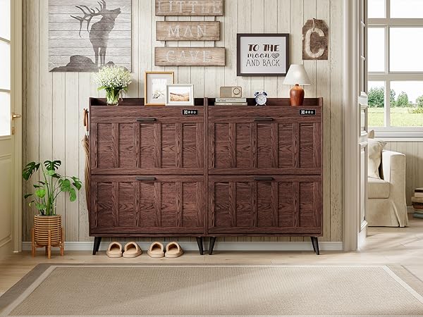 shoe organizer cabinet