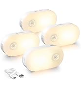 Lyridz Rechargeable Battery Night Light with Motion Sensor, Stick on Anywhere, 1-20LM Dimmable LE...
