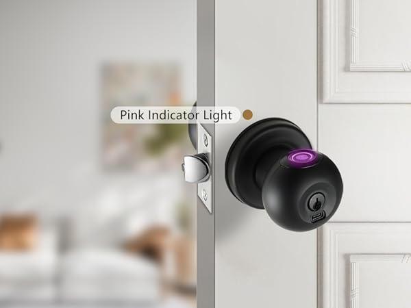 Pink Indicator Light