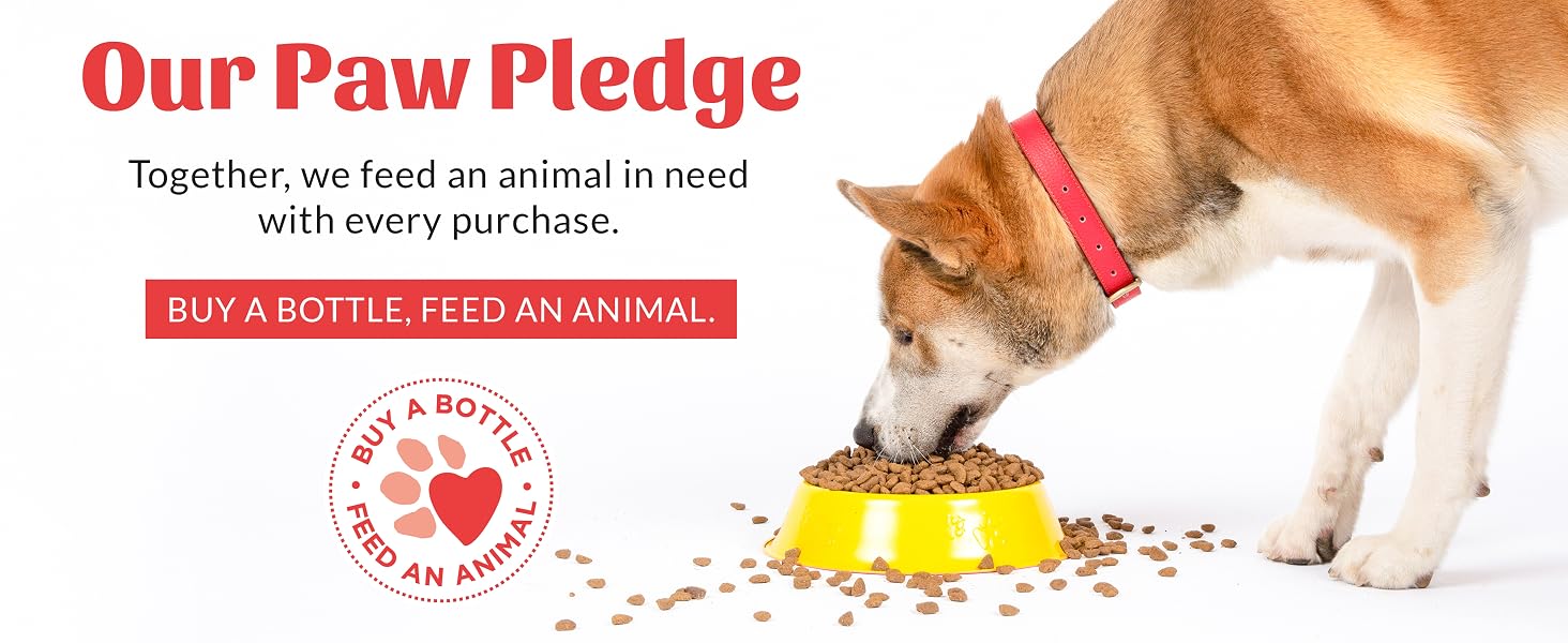 Paw Pledge