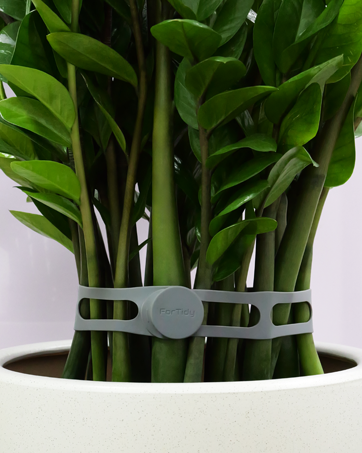 silicone strap