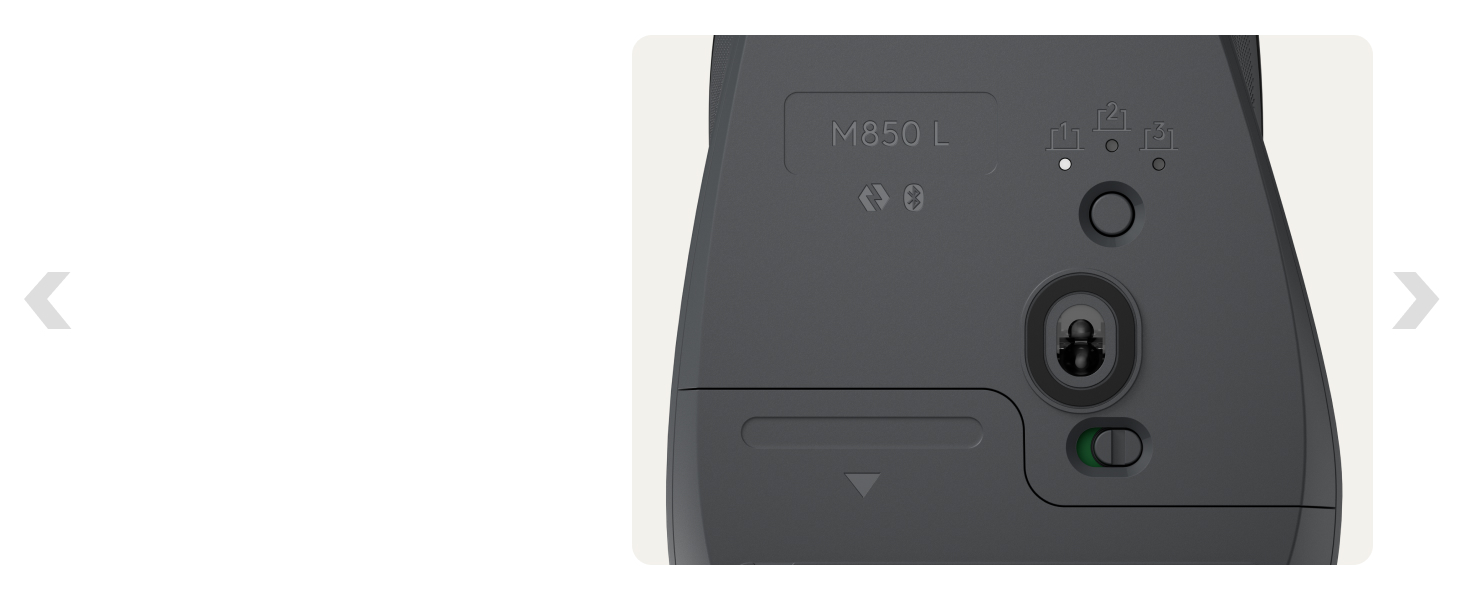 a back of a mouse