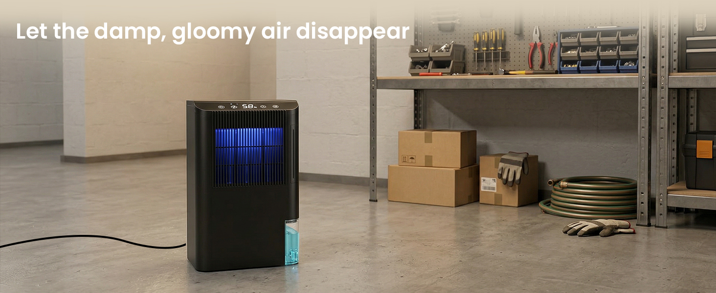 dehumidifier for basement
