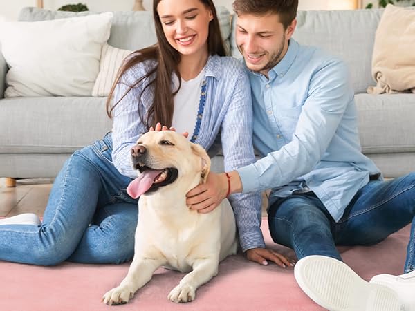 Dog mat