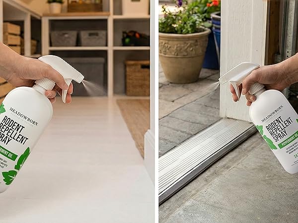 Left side: The spray used in indoor space near bins. Right side: used outdoors near a garage door