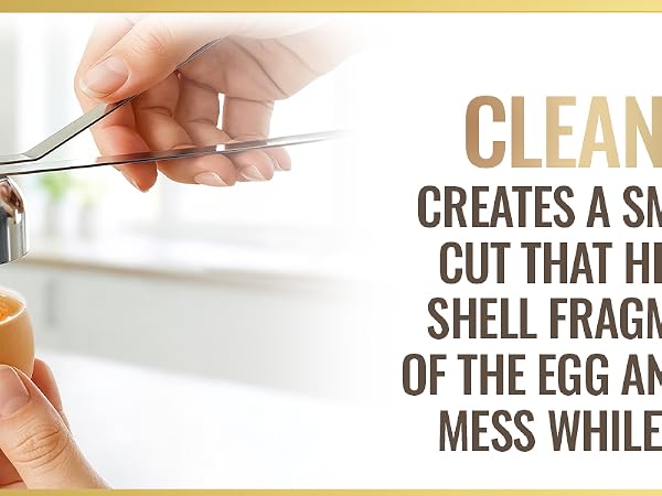 eggs opener egg opener shell cutter egg opener egg cracker for raw eggs cracking tool