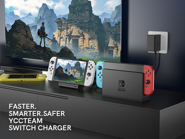 Nintendo Switch charger