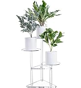 Sumerflos Acrylic Corner Plant Stand 3 Tier - Clear Indoor Plant Shelf Plant & Flower Display Rac...