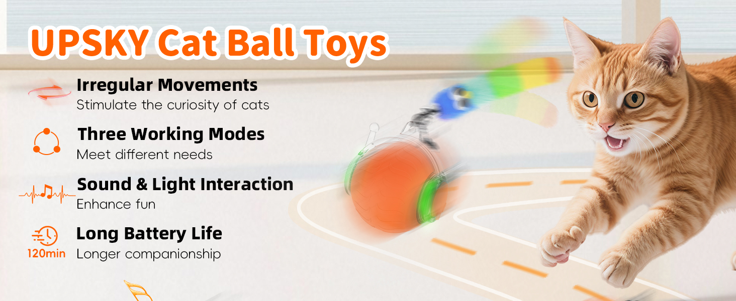 cat toy interactive ball