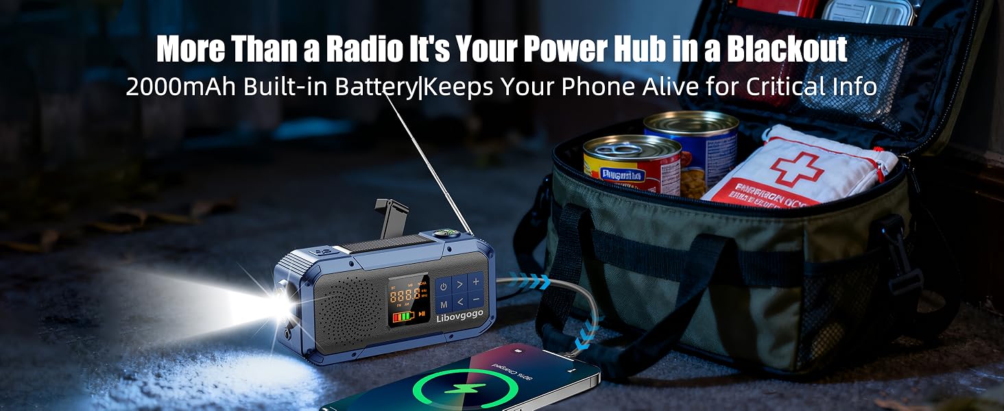 2000mAh battery charger