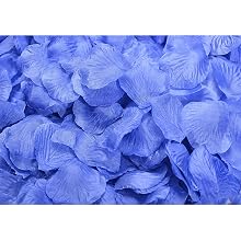 Blue rose petals