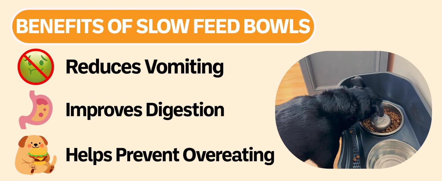 Benefits of using a slow feed bowl