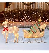 WATERGLIDE Set of 2 Christmas Decorations Outdoor, 23 Inch Lighted Reindeer & Santa Sleigh, Pre-L...