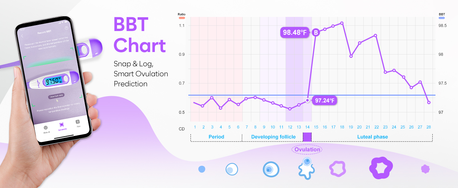 bbt thermometer for ovulation