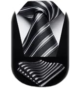 HISDERN Stripe Tie Mens Ties with Pocket Square Set Classic 3.4'' Silk Formal Necktie Handkerchie...