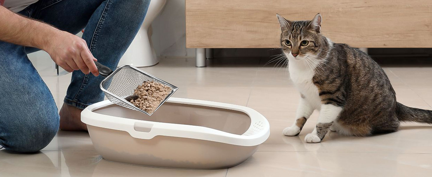 cat shovel
