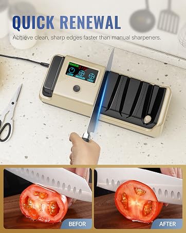 G01KS06 Electric Knife Sharpener