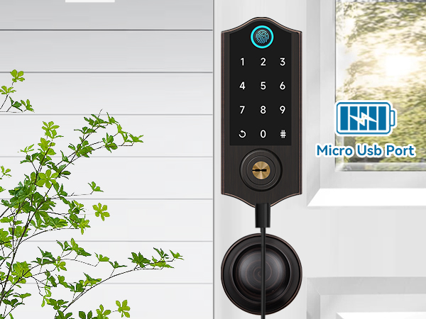 keyless entry door lock