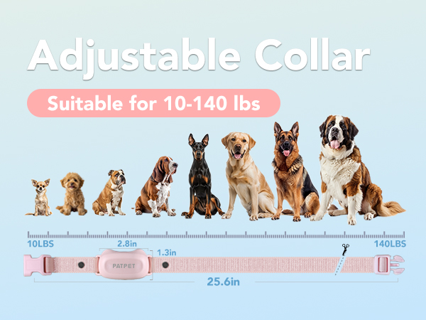 shock collar for dogs 60-100 lbs waterproof