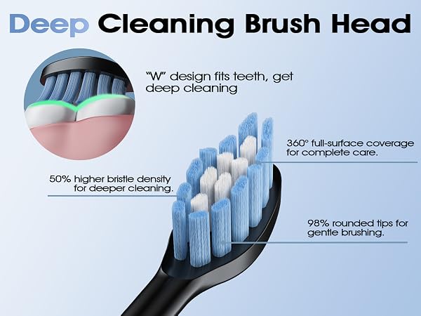 The bristles fit the teeth.