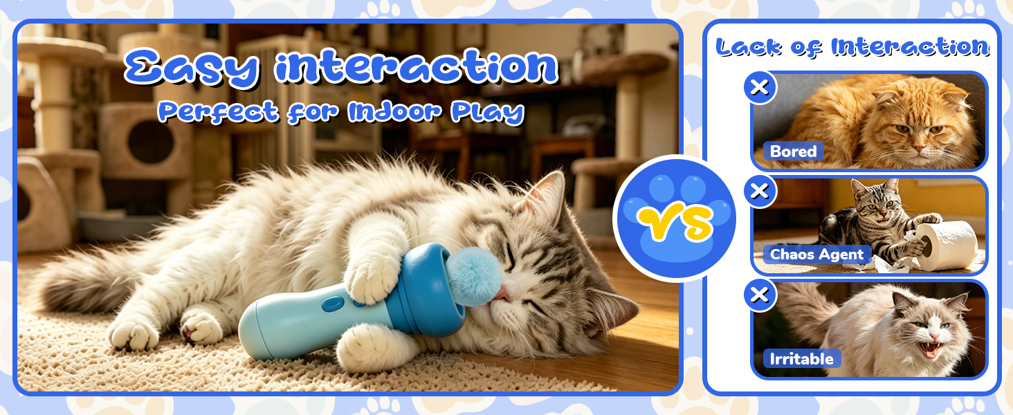 cat interactive toys