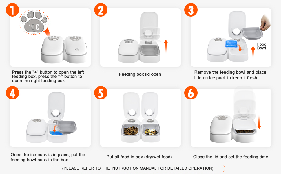 cat feeder dog feeder