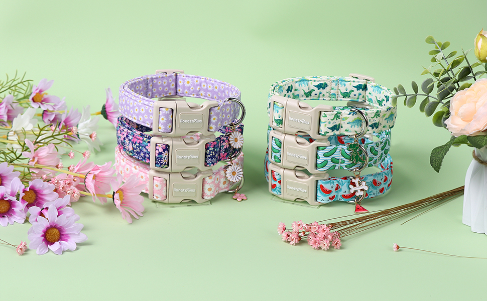 dog collars for small dogs,dog collars for grils,puppy collar,small dog collars for female dogs