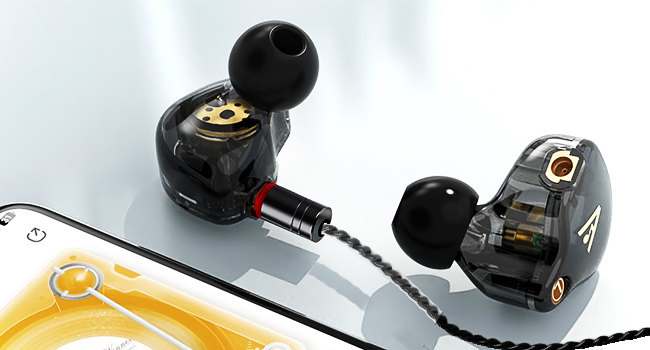Audiovance Vibes 202_HiFi Wired Earbuds