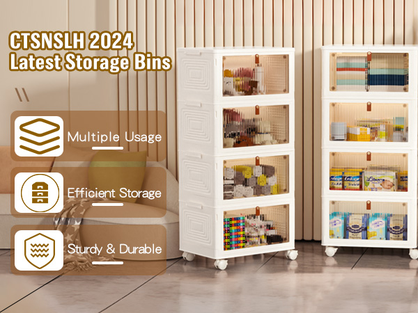 storage bins organizer