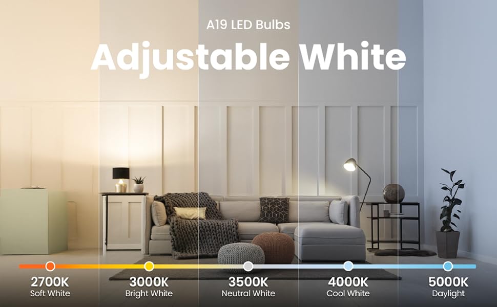 Classic Bright White A19 LED Bulbs in a cozy living space