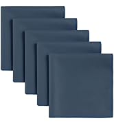 DoreenBeads Sweat Absorbing Handkerchiefs, 5Pcs Small Quick Drying Microfiber Sweat Rag Towels fo...