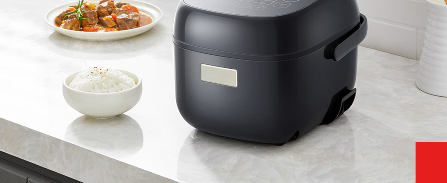 Rice Cooker for Small Home