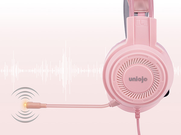 noise-canceling mic