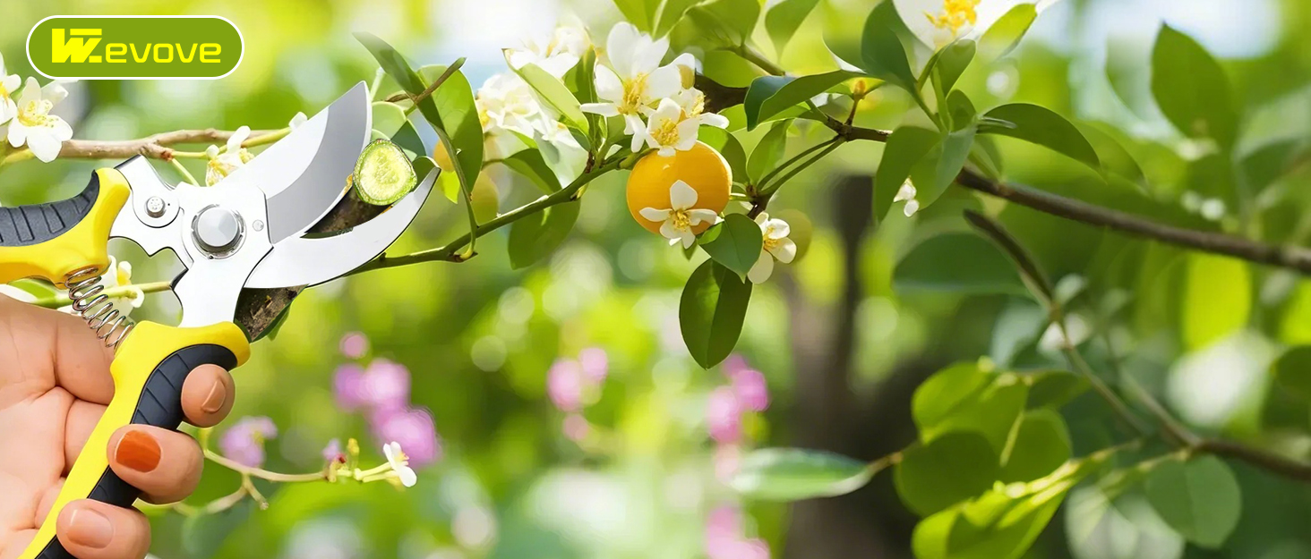 pruning shears for gardening