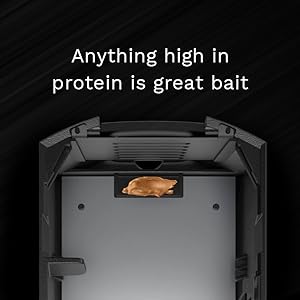 Convenient Bait Area