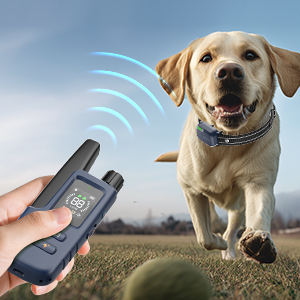 dog shock collar with remote control