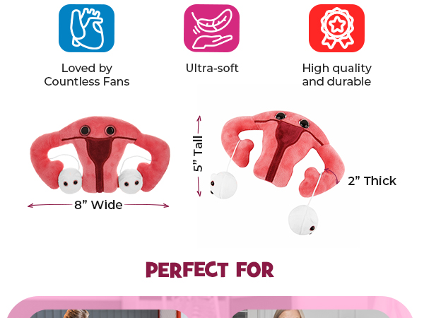 Uterus